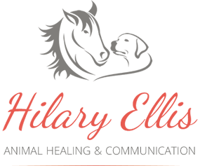 Hilary Ellis Animal Healing & Communication